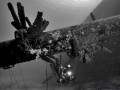 Wrecks Underwater contains: 1 photos