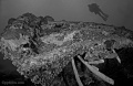Nature in B&W contains: 5 photos