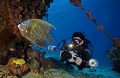Divers, Elements of Humankind contains: 22 photos